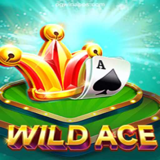 Discover the Thrills of WildAce on the PGWIN.COM Platform
